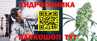 СК Тулун