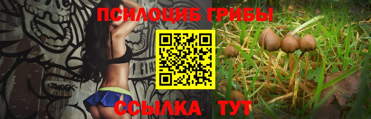 Галлюциногенные грибы прущие грибы  продажа наркотиков  Нурлат  Вход с VPN  Псилоцибиновые грибы Cubensis 